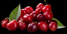  Concentrated   cherry   juice 