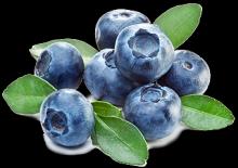  Concentrated   blueberry   juice 