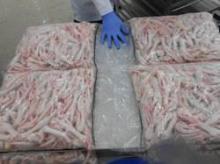 FRESH FROZEN CHICKEN