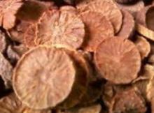 Dried  betel   nut  coin