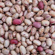 RED KIDNEY BEANS