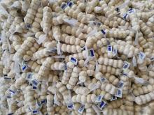 100% Chinese Pure White Fresh Garlic For sale