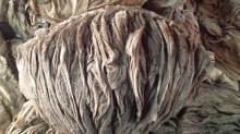 Wet and Dry Salted Omasum