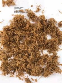 vietnam Fermented bagasse whtasapp 84903721896