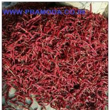 Byadgi Red Chilli