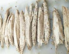 frozen precooked bonito loin(auxis thazard)