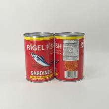 CANNED   MACKEREL   TOMATO  PASTE