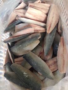 frozen mackerel fillet