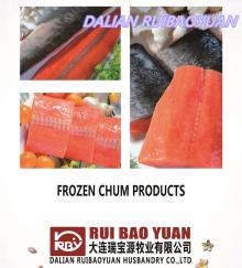 Frozen chum salmon (Oncorhynchus Keta)