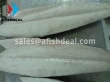 OILFISH - ANCHOVY - FROZEN SEAFOOD - WHOLE ROUND FROZEN - GUTTED - FILLET - STEAK CUT