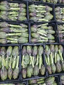  fresh   artichoke  with high quailty