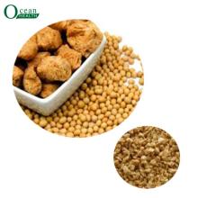 Textrued Soy protein