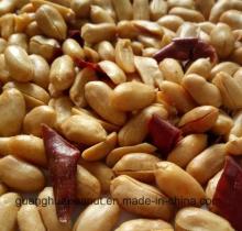 Manufactory roasted peanut kernels