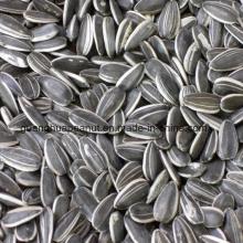 Customizad Sunflower Seeds with Shell