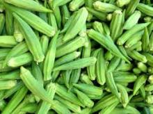  fresh  okra / frozen okra /  dried  okra