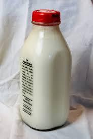 whole milk