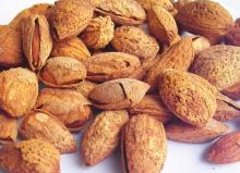 Almonds (Sweet and Bitter Almonds)