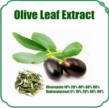  Olive  leaf  extract   powder  oleuropein & hydroxytyrosol  powder 