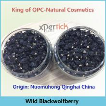 Tietan Natural Organic Black Wolfberry,Chinese Goji
