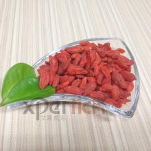 Qaidam Natural Red Wolfberry ,Chinese Herb Medicine