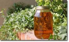 Crude Soybean Oil
