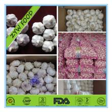  Garlic   White   Garlic  Fresh  Garlic  Normal  White   Garlic  Pure  White   Garlic 