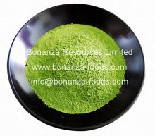 Natural Spray Dried Maccha/Green Tea Powder