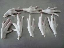 Frozen Chicken Paws