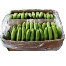 Fresh Green Cavendish Bananas