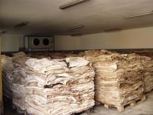 Salted  Cow  Hide (wet and  dry )