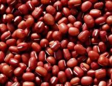  Dark   Red   Kidney   Beans ,  British  Type