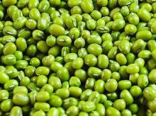 China High Qualtiy Green Mung Bean Good Quality for Sale