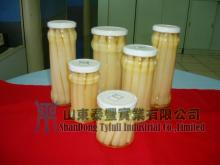 Canned White Asparagus with High Quality