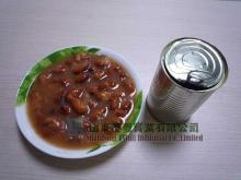 Canned Broad Bean