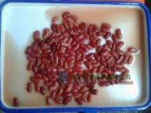 Canned Red Kidney Beans with High Quality