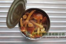  Nameko   Mushroom  in Brine in Drum Packing