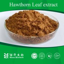 Natural Hawthorn Leaf Extract with Flavones 10%