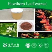 Kingsci high quality high quality hawthorn leaves extract
