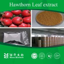 Chinese herb extract Hawthorn Leaf Extract P.E.