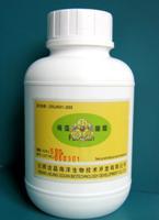Brown Seaweed Extract-fucoidan