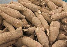  Cassava   Production 