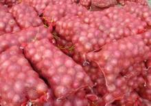  Peeled   Onion 