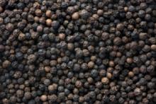 BLACK PEPPER 550gl/ 500gl / 600-650 Gram/L Giant Black Pepper / White pepper