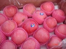 2014Fresh fruit Yantai Fuji  Apple   new  season