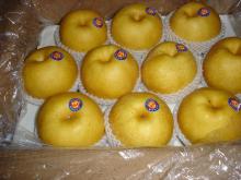 Fresh Singo Pear
