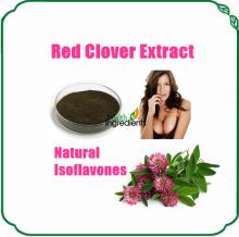 natural red clover extract 8% isoflavones powder HPLC
