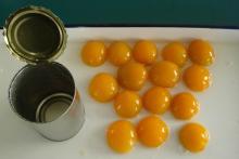 Canned Apricot