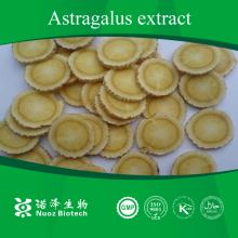 Herb medicine nature astragalus root extract