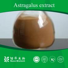  Astragalus   root  extract best supplier in China