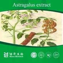 Natural Top Grade astragalus root extract with Polysacchrides